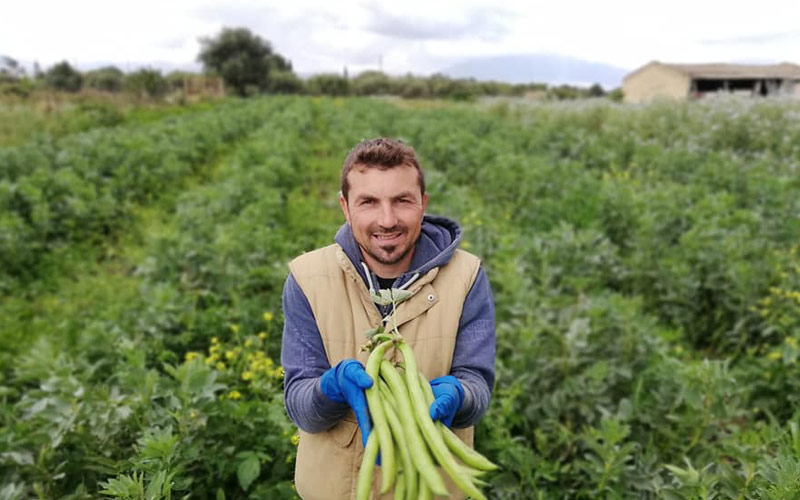 Frutta Esotica Biologica Siciliana e altre varietà di ortofrutta coltivate con tecniche di agro-omeopatia