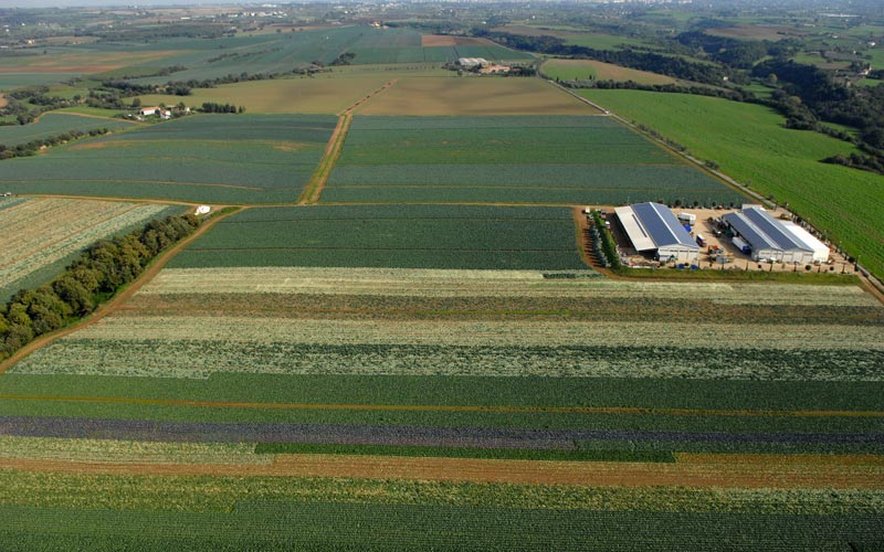 Agricoltura all'avanguardia, rispetto del territorio e ortaggi di qualità