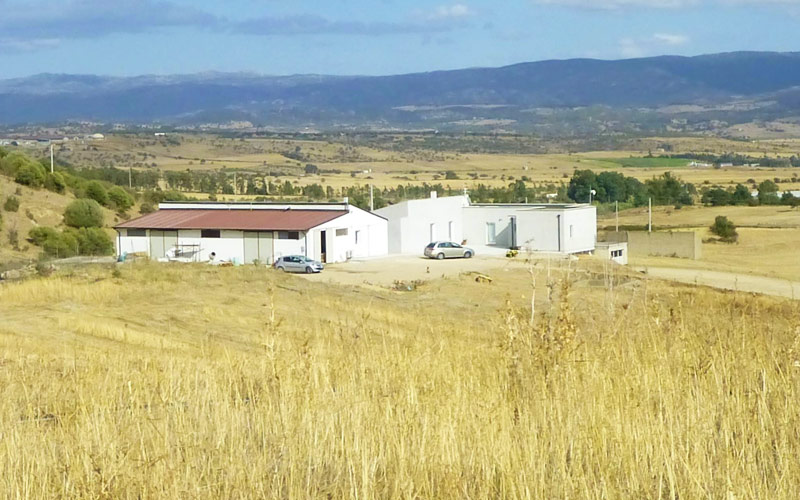 I prodotti spontanei della Sardegna: produzione di confetture e marmellate tradizionali in piena armonia con la natura