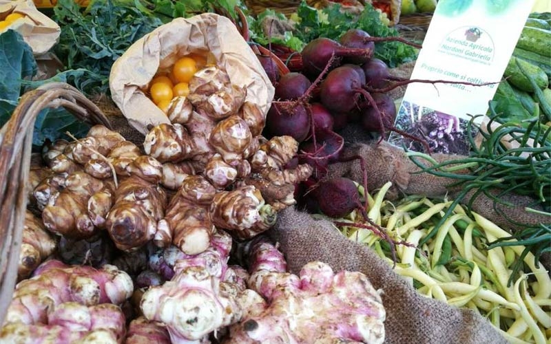 azienda agricola nardoni gabriella