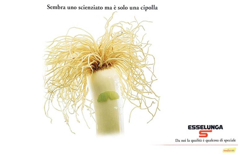 scienziato o cipolla esselunga