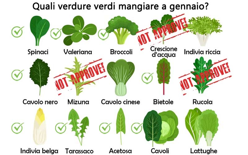 Cedior - verdura di stagione - Perchè scegliere le verdure fresche di  stagione