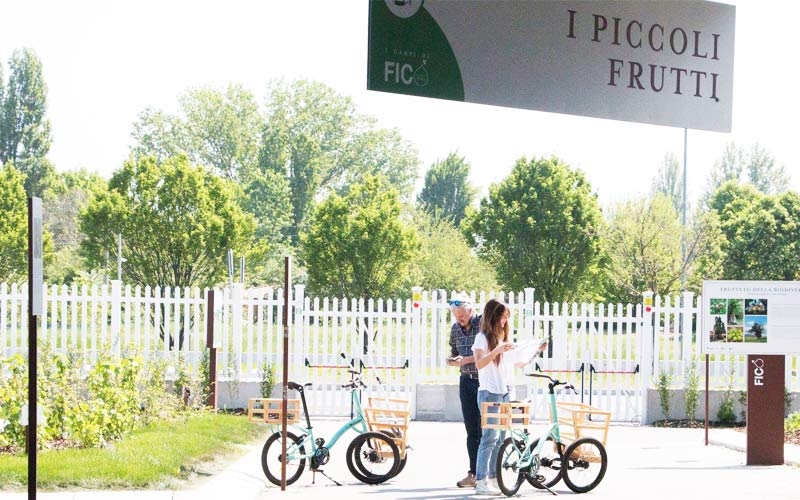 piccoli frutti fico biodiversità