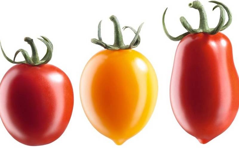 differenza datterino ciliegino rosso e giallo