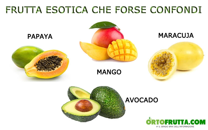 frutti-esotici-ricercati-avocado-papaya-maracuja-mango