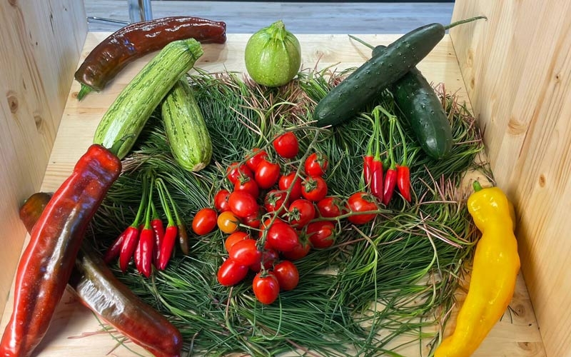 AgriPeppe al Fruit Logistica 2023