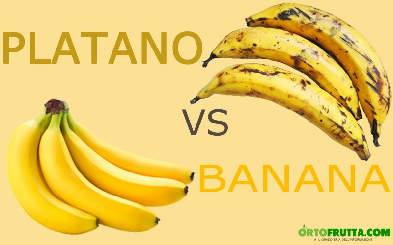 differenze platano banana