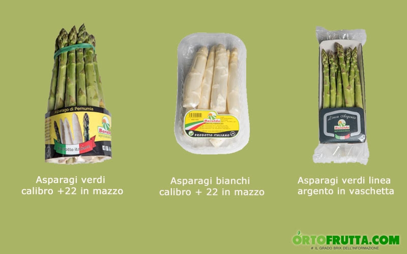 tipi di asparagi azienda baraldo