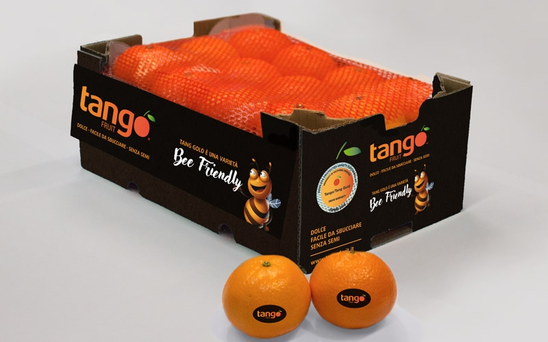 cassette mandarini tango