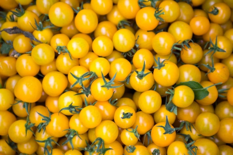 ciliegino giallo