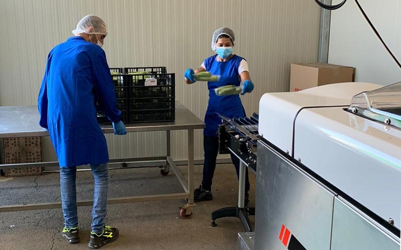 operai al lavoro alla agripeppe