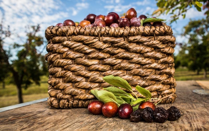 cesto di prugne secche e fresche della california