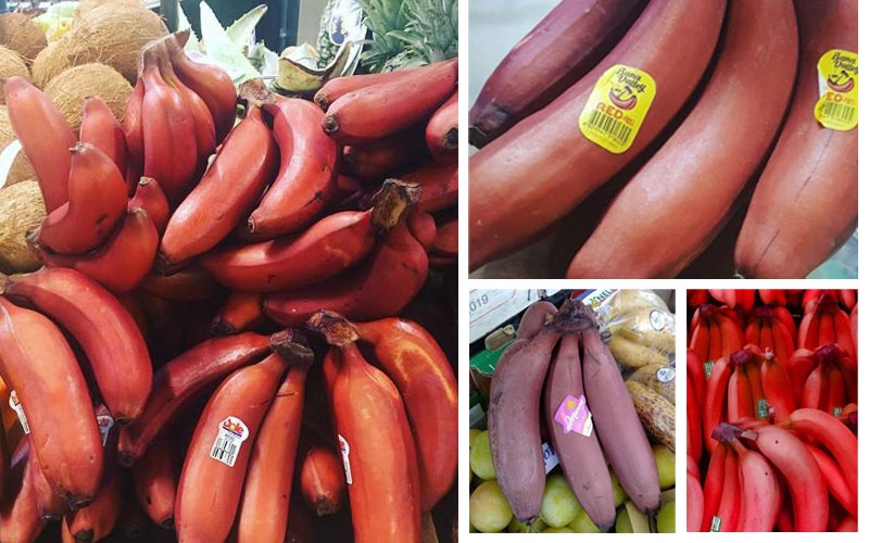 marchi e bollini di banana rossa
