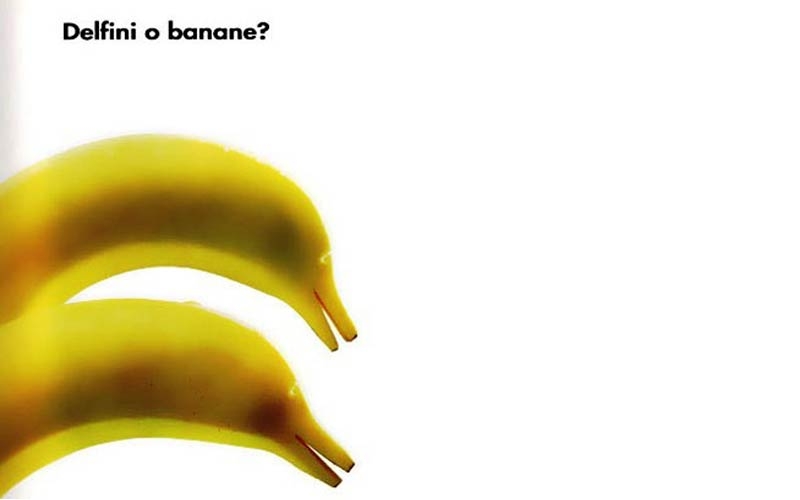 banane o delfini