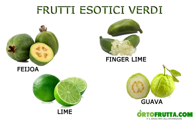frutti esotici verdi feijoa finger lime lime guava