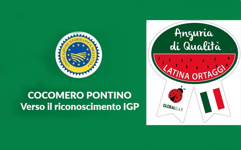 bollino cocomero igp