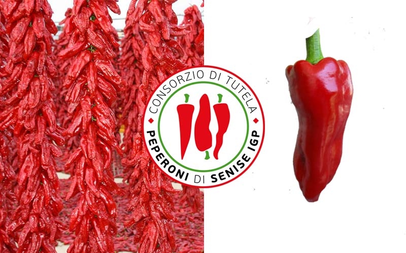 collane di peperoni essiccati