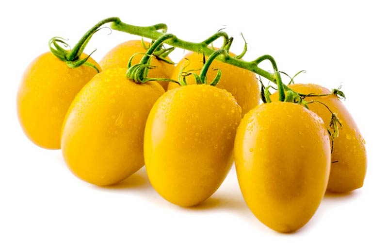pomodorino giallo