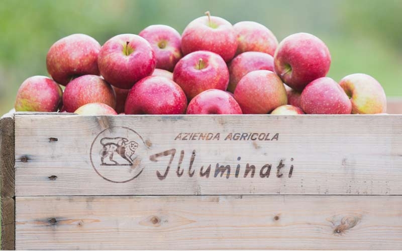 illuminati frutta