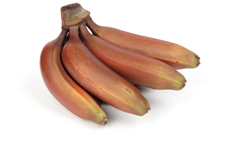 banane-rosse