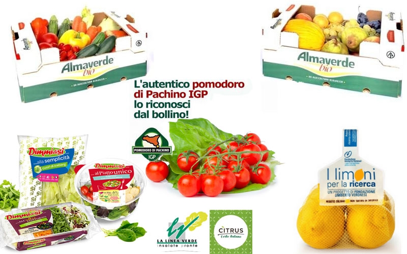 marche-e-bollini-contano-sullacquisto-di-ortofrutta