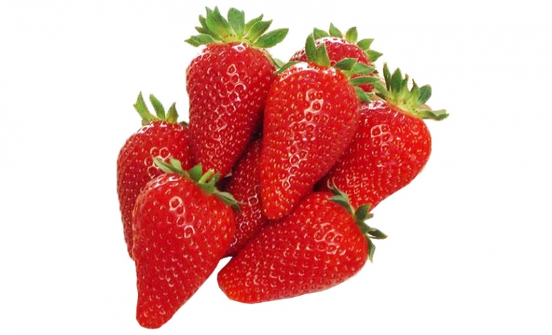 fragola varietà roxana