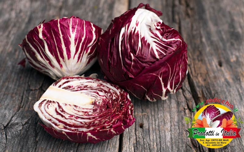 radicchio-rosso-ortobemar