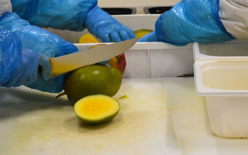 lavorazione mango mc garlet