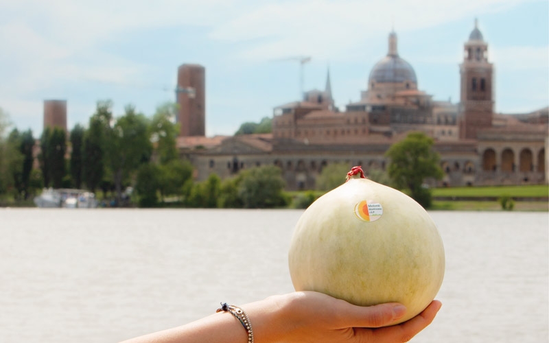 melone mantovano liscio con sfondo mantova