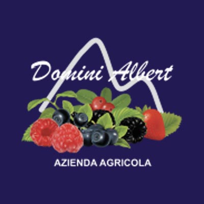 Azienda Agricola Domini Albert
